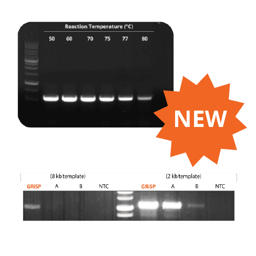 NEW-GK86.0100 Xpert cDNA Synthesis Supermix